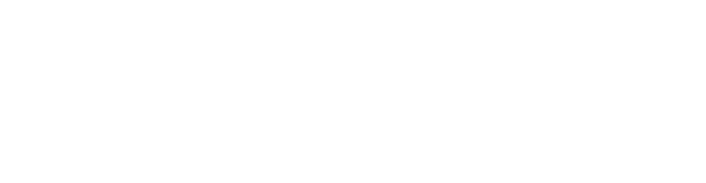 莱思集团logo -W 拷贝
